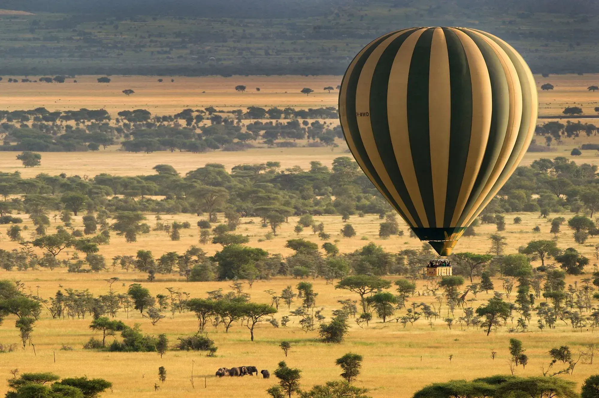 Serengeti & Zanzibar Romantic Honeymoon Safari day 4