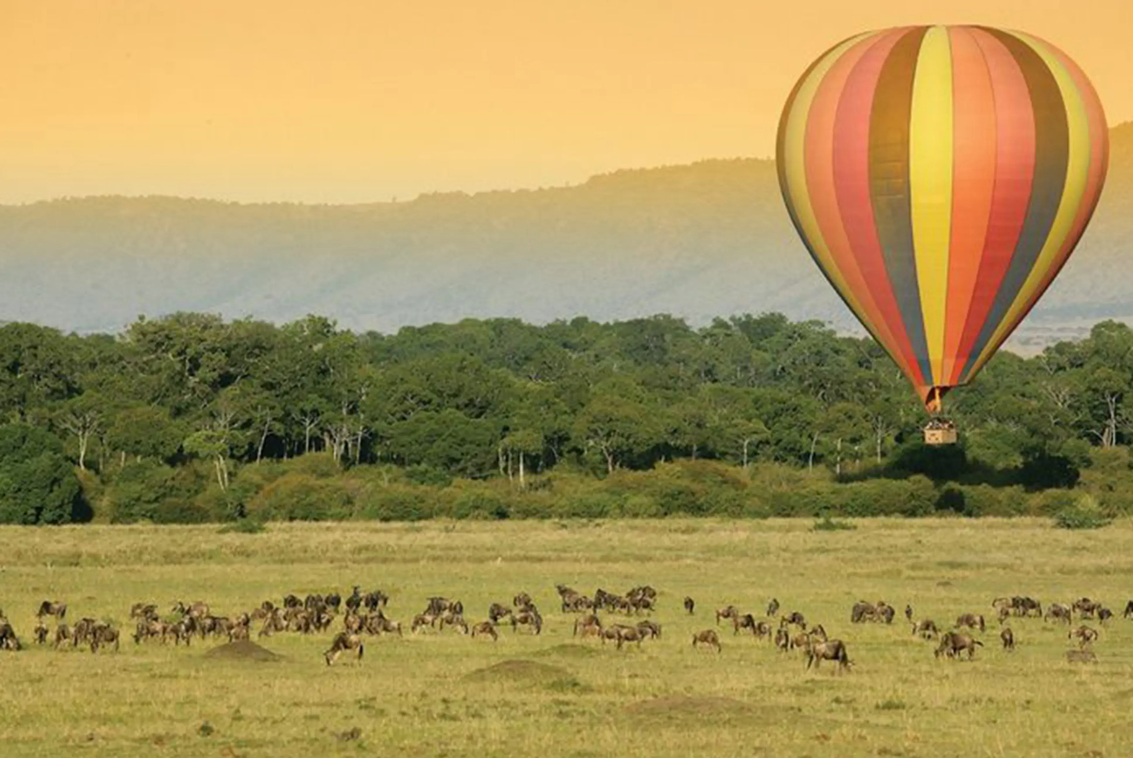 Haven Trails Adventures