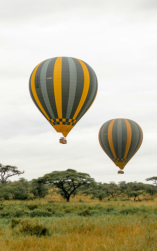 Exclusive Excursions