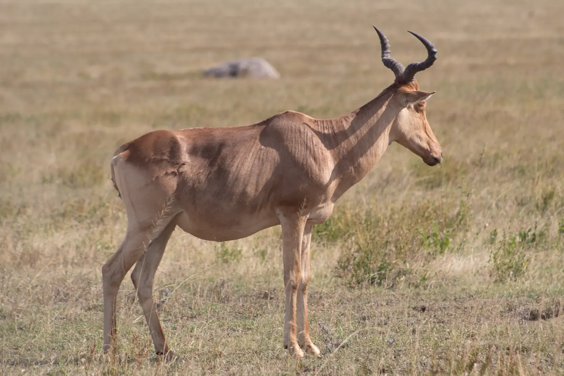 Haven Trails Adventures