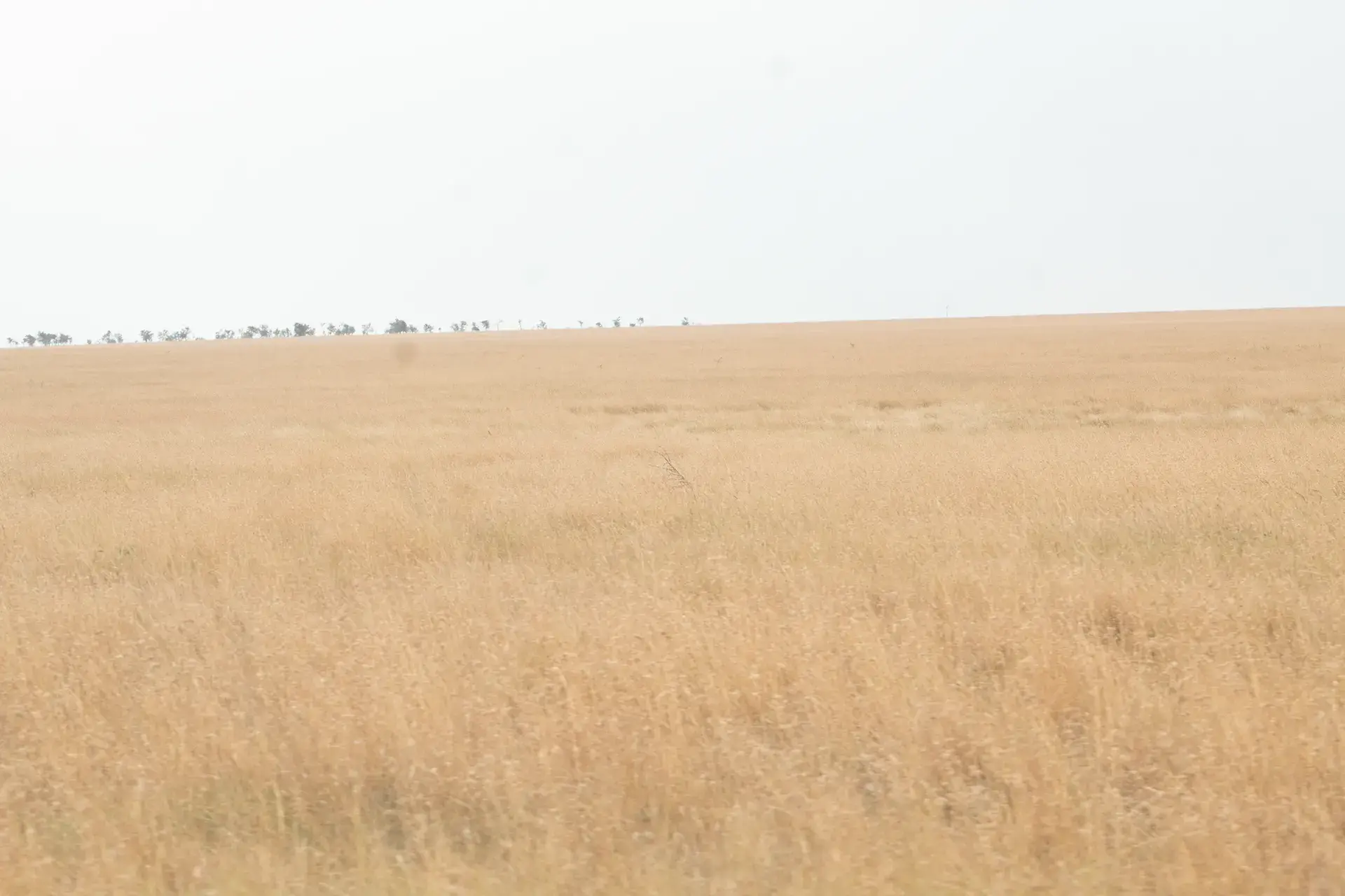 Haven Trails Adventures