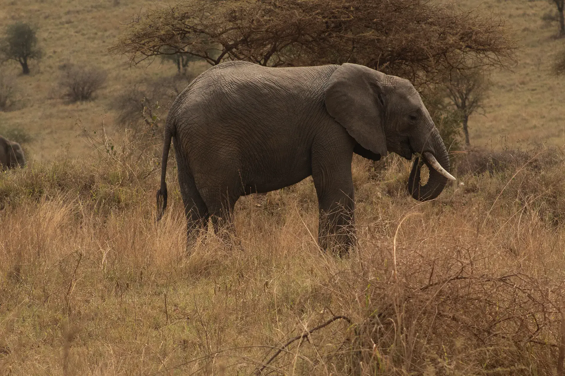 Haven Trails Adventures