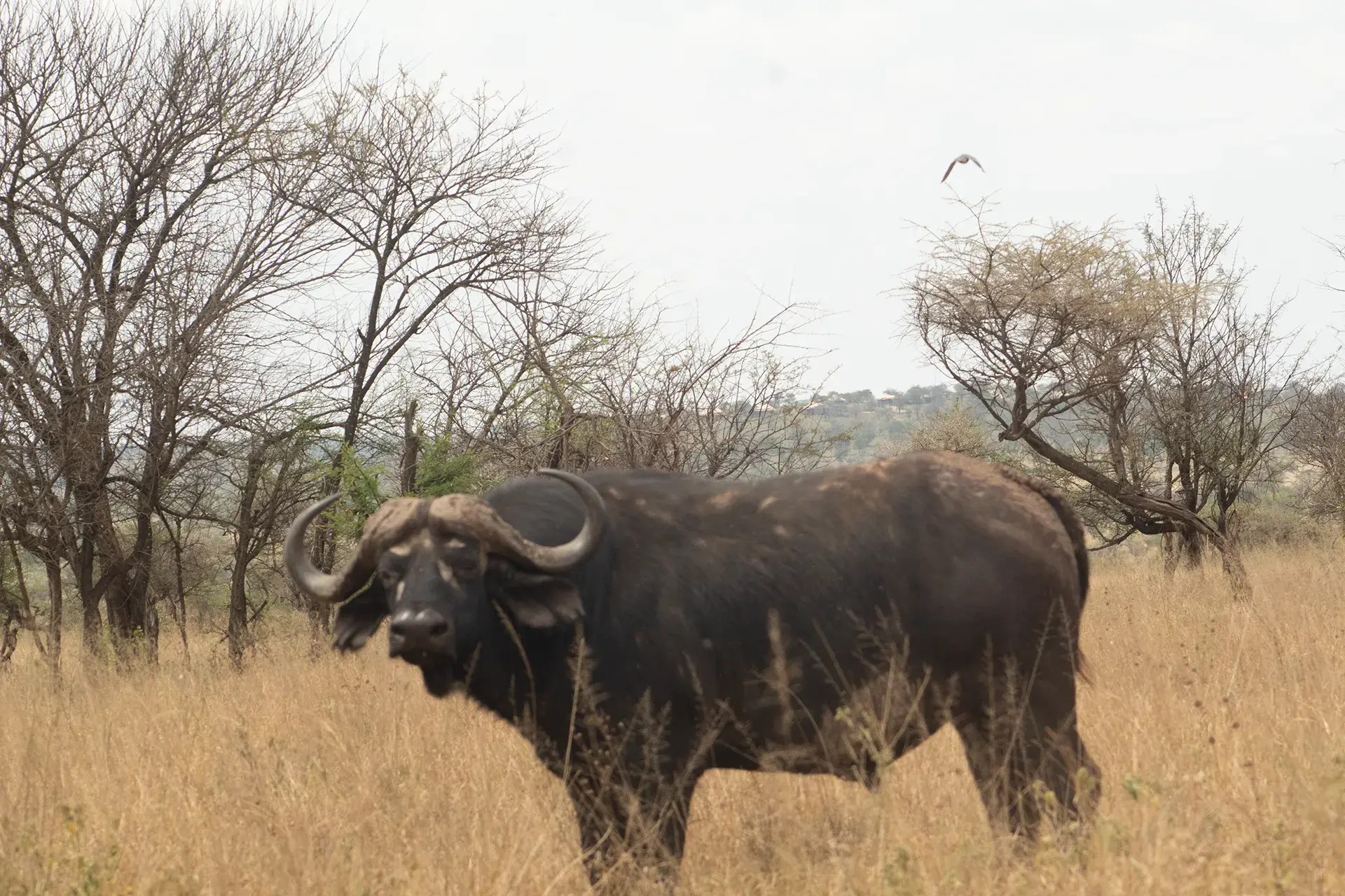 Haven Trails Adventures