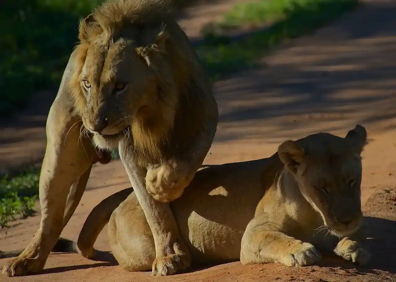 Haven Trails Adventures